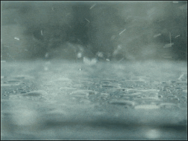 evaeva  GIF