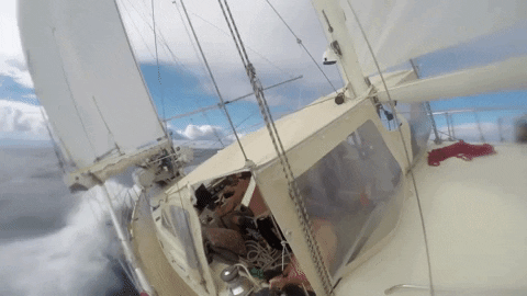sailboat crash gif