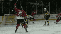 Celebration Hockey GIF by Toronto Marlies - Find & Share on GIPHY