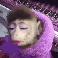 New trending GIF tagged monkey gross side eye…