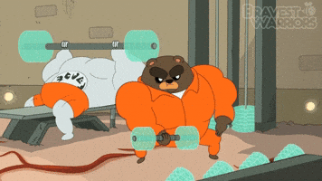 bear gym GIF by Cartoon Hangover