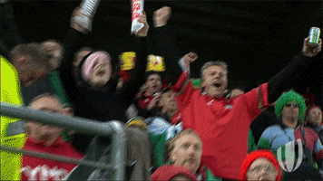 rugby world cup celebration GIF by World Rugby