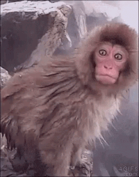 Crying-reaction GIFs - Get the best GIF on GIPHY