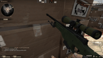 pazelloxu csgo GIF