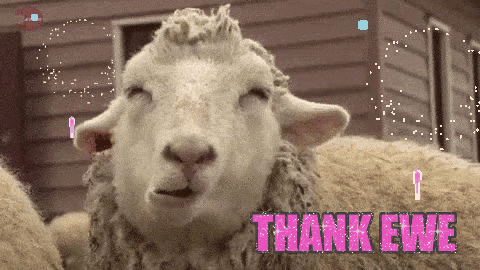 thank you gif GIF by chuber channel