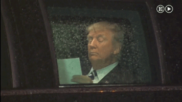 videoselpaisamerica  GIF