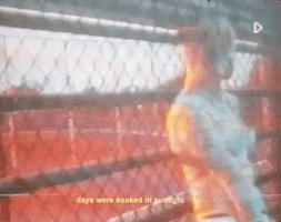 200.gif?cid=fc005b086378de642bf047c370ac7f6d5d6c2d5565c7dd18&rid=200.gif&ct=g