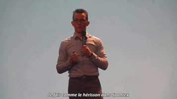 LesVulgaires science cabaret sponge vulgaires GIF