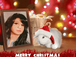 reza  GIF