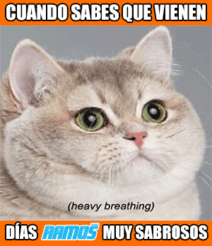 Dã­As Ramos Heavy Breathing GIF by Carnes RAmos