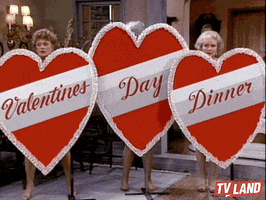 valentines day hearts GIF by TV Land