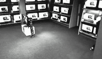 qore lol thief GIF
