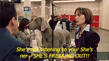 Best In Show Wtf GIF by O&O, Inc