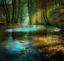RG paysage GIF