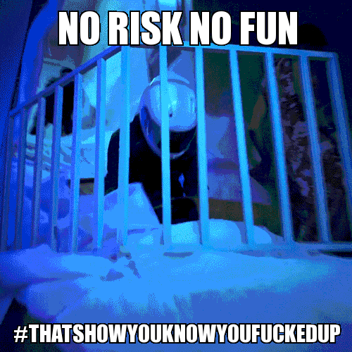 No Risk No Fun GIFs Get the best GIF on GIPHY