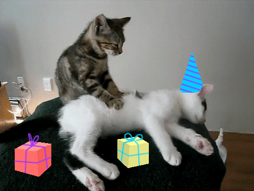 Giphy - Celebrate Happy Birthday GIF by Birthday Bot