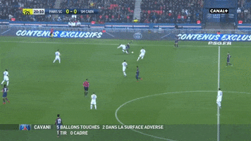 psg GIF by nss sports