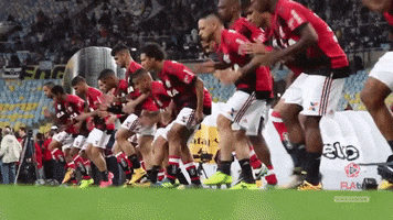 Soccer Futebol GIF by Flamengo