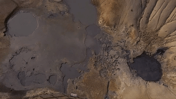 pedrobayeux  GIF