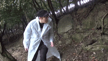 Japan Island GIF