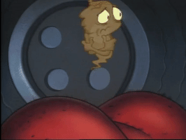200.gif?cid=fc005b088816ba0a56b3ceaadf7250defcfd84d37794ea06&rid=200.gif&ct=g