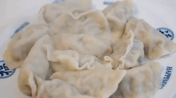 Chinese Food Dumplings GIF