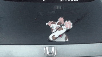 dog waving GIF by WiperTags