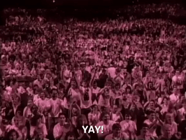 200.gif?cid=fc005b08068bd49eb664782152c6c29b86ec884861294082&rid=200.gif&ct=g