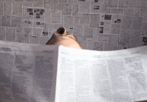 jeremiahjw news good print newspaper GIF