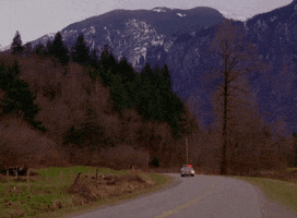 twin peaks police car GIF by Twin Peaks on Showtime