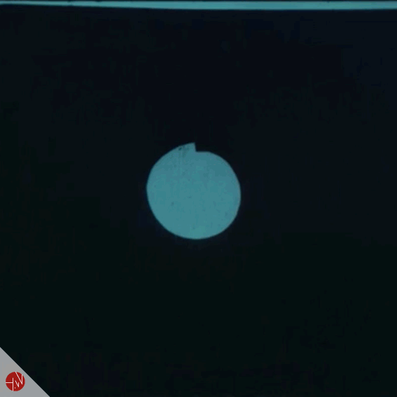 assistant  GIF