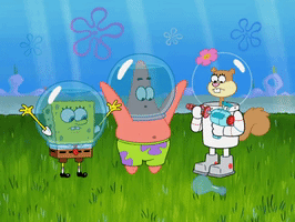 season 8 episode 13 GIF by SpongeBob SquarePants