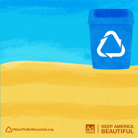 aaronandersen kab hermit crab GIF