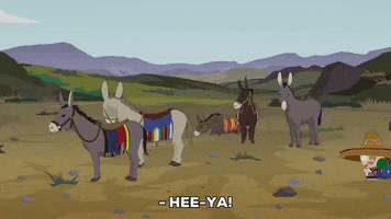 eric cartman donkey GIF by South Park 