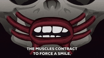 muscles GIF by South Park 