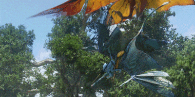 avatar4lyfe  GIF