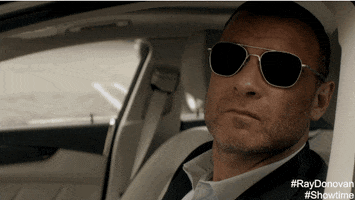 ray donovan lol GIF by Showtime