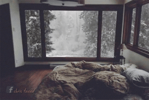 christaeed  GIF