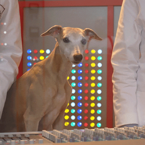 Im Out Over It GIF by Metcalfe's Skinny Popcorn