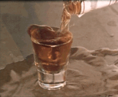 LGBTLiquorGunsBaconandTits  GIF