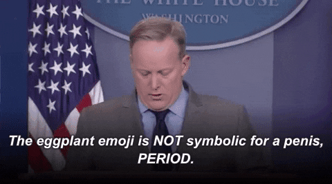 Sean Spicer GIF by Election 2016 - Find & Share on GIPHY