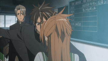 Larisi slap hotd highschool of the dead GIF