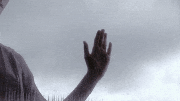 ioananastase funny funny gifs funny or die funny pics GIF