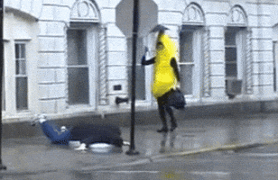 ioananastase funny funny gifs funny or die funny pics GIF