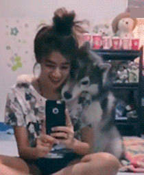 alexeykiyanitsa  GIF