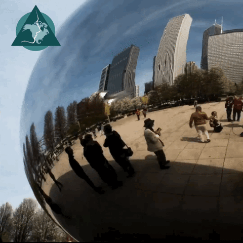 brianpolacek  GIF