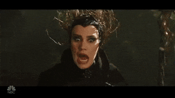 kate mckinnon snl GIF by Saturday Night Live kate mckinnon snl GIF by Saturday Night Live