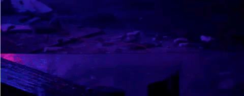 sebastiankgabrielm  GIF