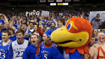 Ncaa Basketball GIF by University of Kansas