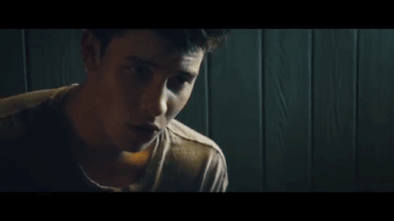 shawn mendes pop GIF by NOW That's Music